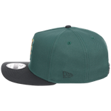 New York Mets MLB Lichen Clouds New Era 9FIFTY