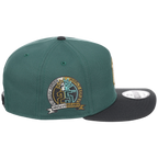 New York Yankees MLB Lichen Clouds New Era 9FIFTY