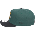 Philadelphia Phillies MLB Lichen Clouds New Era 9FIFTY