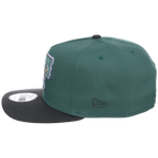 Pittsburgh Pirates MLB Lichen Clouds New Era 9FIFTY