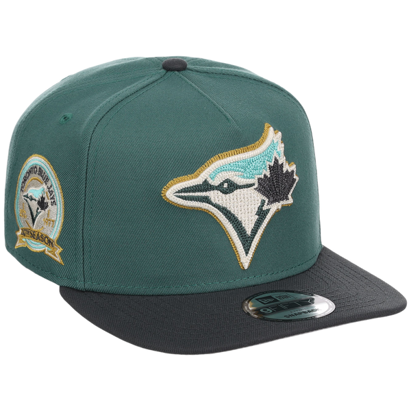 Toronto Blue Jays MLB Lichen Clouds New Era 9FIFTY – Lids HD