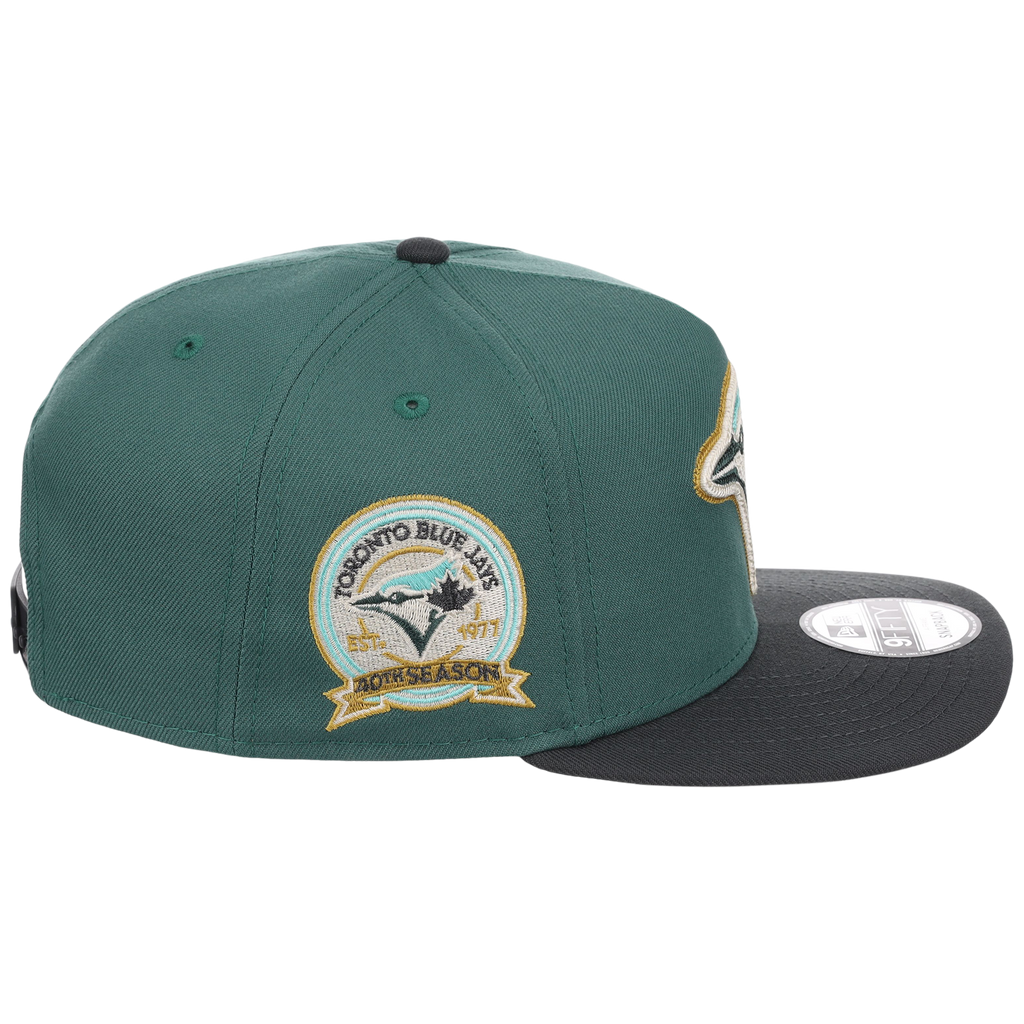 Toronto Blue Jays MLB Lichen Clouds New Era 9FIFTY