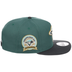 Toronto Blue Jays MLB Lichen Clouds New Era 9FIFTY