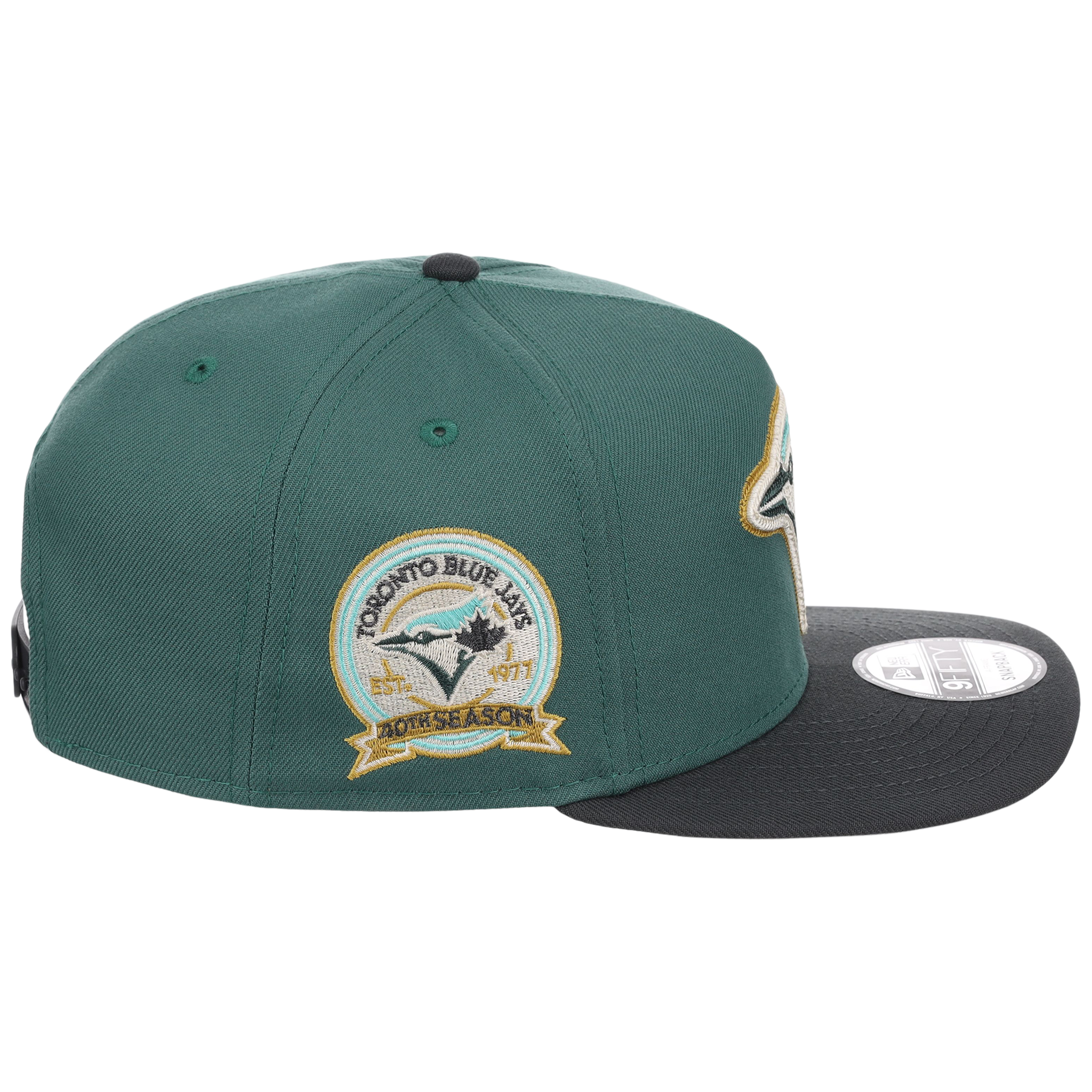 Toronto Blue Jays MLB Lichen Clouds New Era 9FIFTY