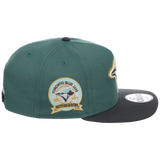 Toronto Blue Jays MLB Lichen Clouds New Era 9FIFTY