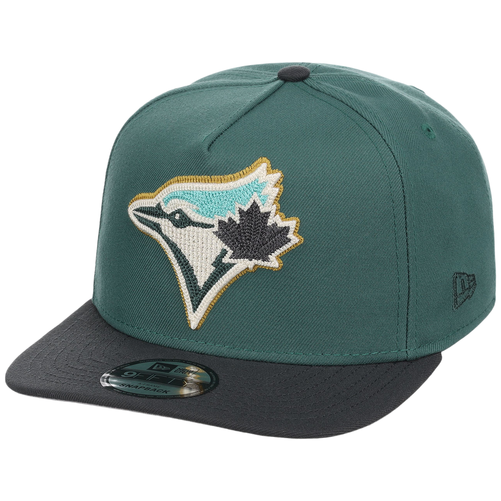Toronto Blue Jays MLB Lichen Clouds New Era 9FIFTY