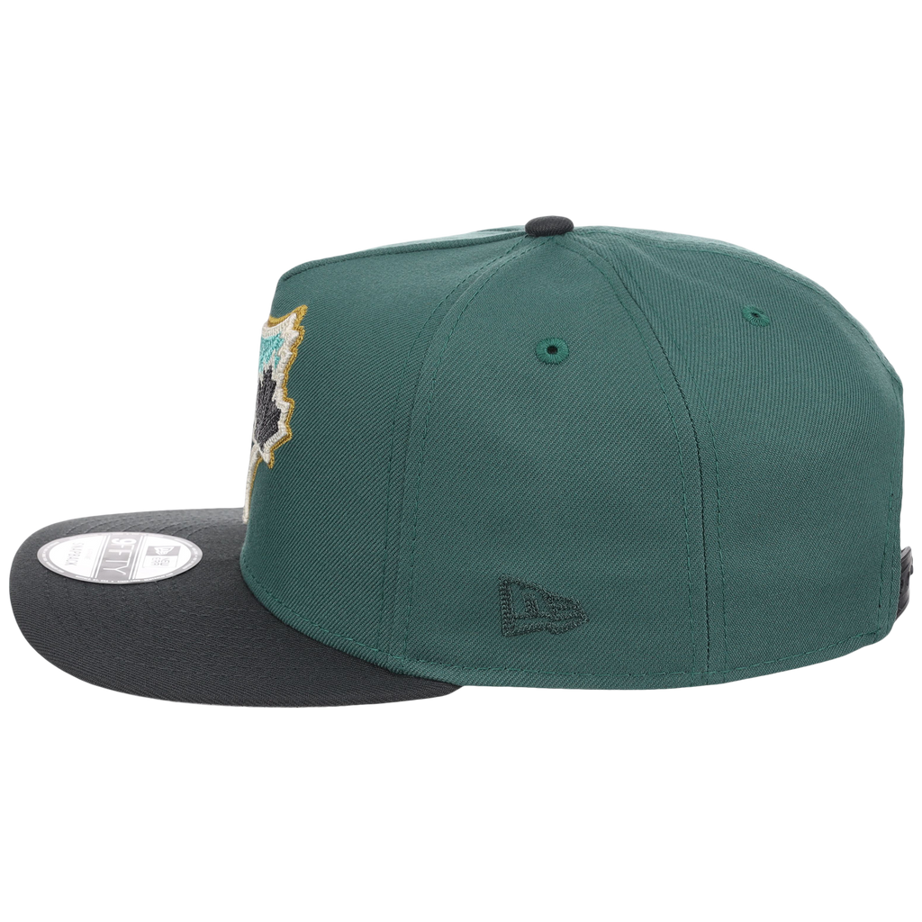 Toronto Blue Jays MLB Lichen Clouds New Era 9FIFTY