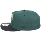 Toronto Blue Jays MLB Lichen Clouds New Era 9FIFTY