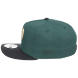 Washington Nationals MLB Lichen Clouds New Era 9FIFTY