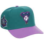 Arizona Diamondbacks Mitchell & Ness MLB 'Era Flip' Heritage Series Pro Pinch - Teal/Purple