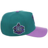 Arizona Diamondbacks Mitchell & Ness MLB 'Era Flip' Heritage Series Pro Pinch - Teal/Purple