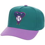 Arizona Diamondbacks Mitchell & Ness MLB 'Era Flip' Heritage Series Pro Pinch - Teal/Purple