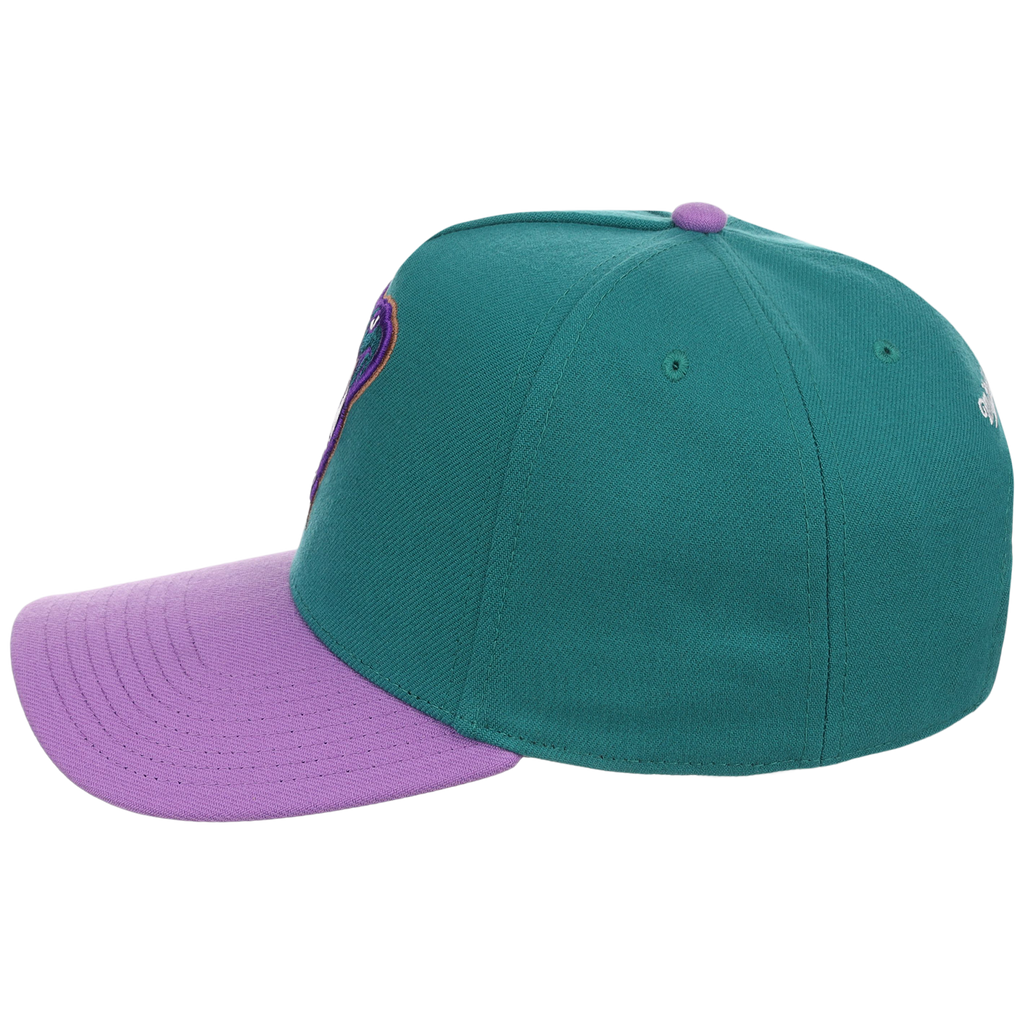 Arizona Diamondbacks Mitchell & Ness MLB 'Era Flip' Heritage Series Pro Pinch - Teal/Purple