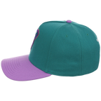 Arizona Diamondbacks Mitchell & Ness MLB 'Era Flip' Heritage Series Pro Pinch - Teal/Purple