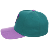 Arizona Diamondbacks Mitchell & Ness MLB 'Era Flip' Heritage Series Pro Pinch - Teal/Purple