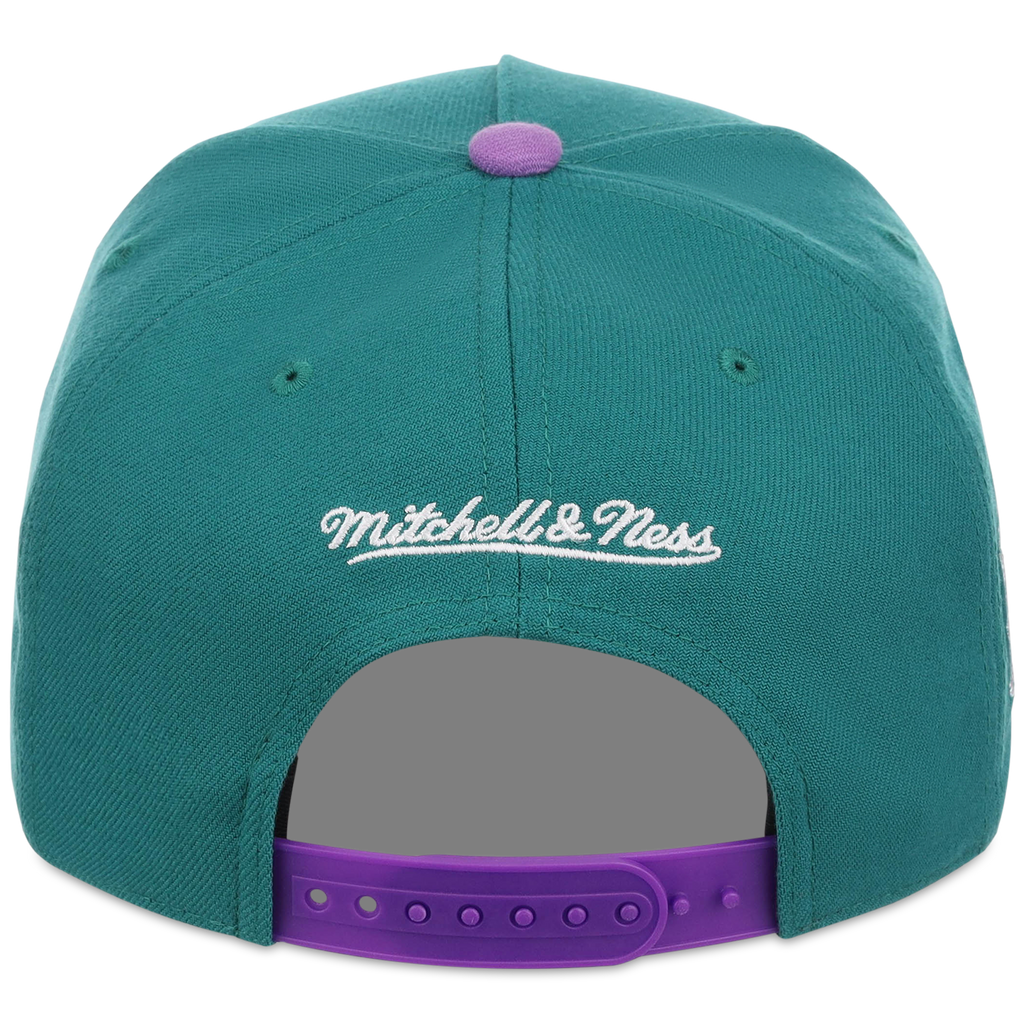 Arizona Diamondbacks Mitchell & Ness MLB 'Era Flip' Heritage Series Pro Pinch - Teal/Purple