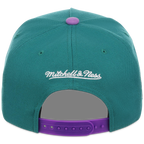 Arizona Diamondbacks Mitchell & Ness MLB 'Era Flip' Heritage Series Pro Pinch - Teal/Purple