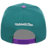 Arizona Diamondbacks Mitchell & Ness MLB 'Era Flip' Heritage Series Pro Pinch - Teal/Purple