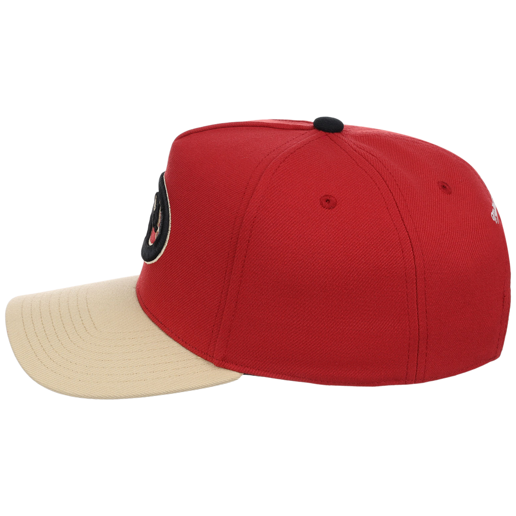 Arizona Diamondbacks Mitchell & Ness MLB 'Era Flip' Heritage Series Pro Pinch - Red/Tan