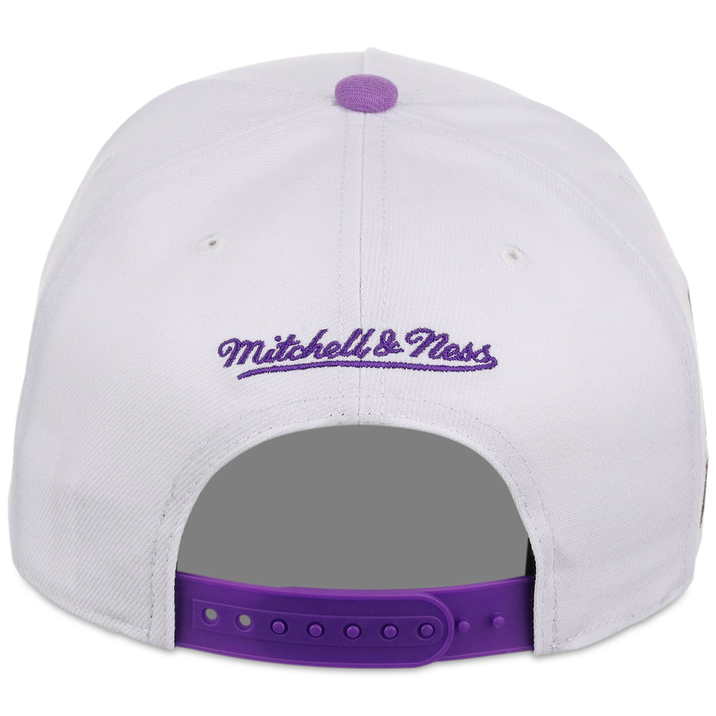 Arizona Diamondbacks Mitchell & Ness MLB 'Era Flip' Heritage Series Pro Pinch - White/Purple