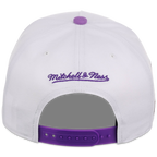 Arizona Diamondbacks Mitchell & Ness MLB 'Era Flip' Heritage Series Pro Pinch - White/Purple