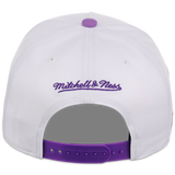 Arizona Diamondbacks Mitchell & Ness MLB 'Era Flip' Heritage Series Pro Pinch - White/Purple