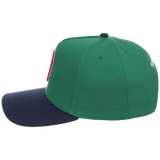 Boston Red Sox Mitchell & Ness MLB 'Era Flip' Heritage Series Pro Pinch - Green/Navy