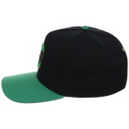 Chicago Cubs Mitchell & Ness MLB 'Era Flip' Heritage Series Pro Pinch - Black/Green
