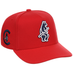 Chicago Cubs Mitchell & Ness MLB 'Era Flip' Heritage Series Pro Pinch - Red/Red