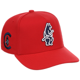 Chicago Cubs Mitchell & Ness MLB 'Era Flip' Heritage Series Pro Pinch - Red/Red