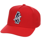Chicago Cubs Mitchell & Ness MLB 'Era Flip' Heritage Series Pro Pinch - Red/Red