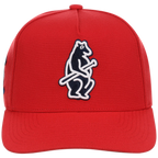 Chicago Cubs Mitchell & Ness MLB 'Era Flip' Heritage Series Pro Pinch - Red/Red