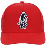 Chicago Cubs Mitchell & Ness MLB 'Era Flip' Heritage Series Pro Pinch - Red/Red