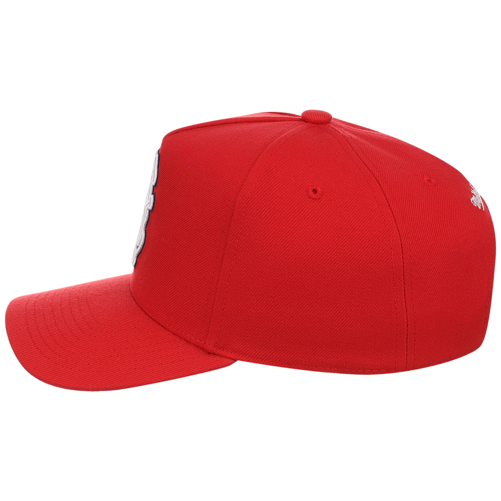 Chicago Cubs Mitchell & Ness MLB 'Era Flip' Heritage Series Pro Pinch - Red/Red
