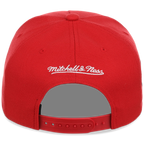 Chicago Cubs Mitchell & Ness MLB 'Era Flip' Heritage Series Pro Pinch - Red/Red