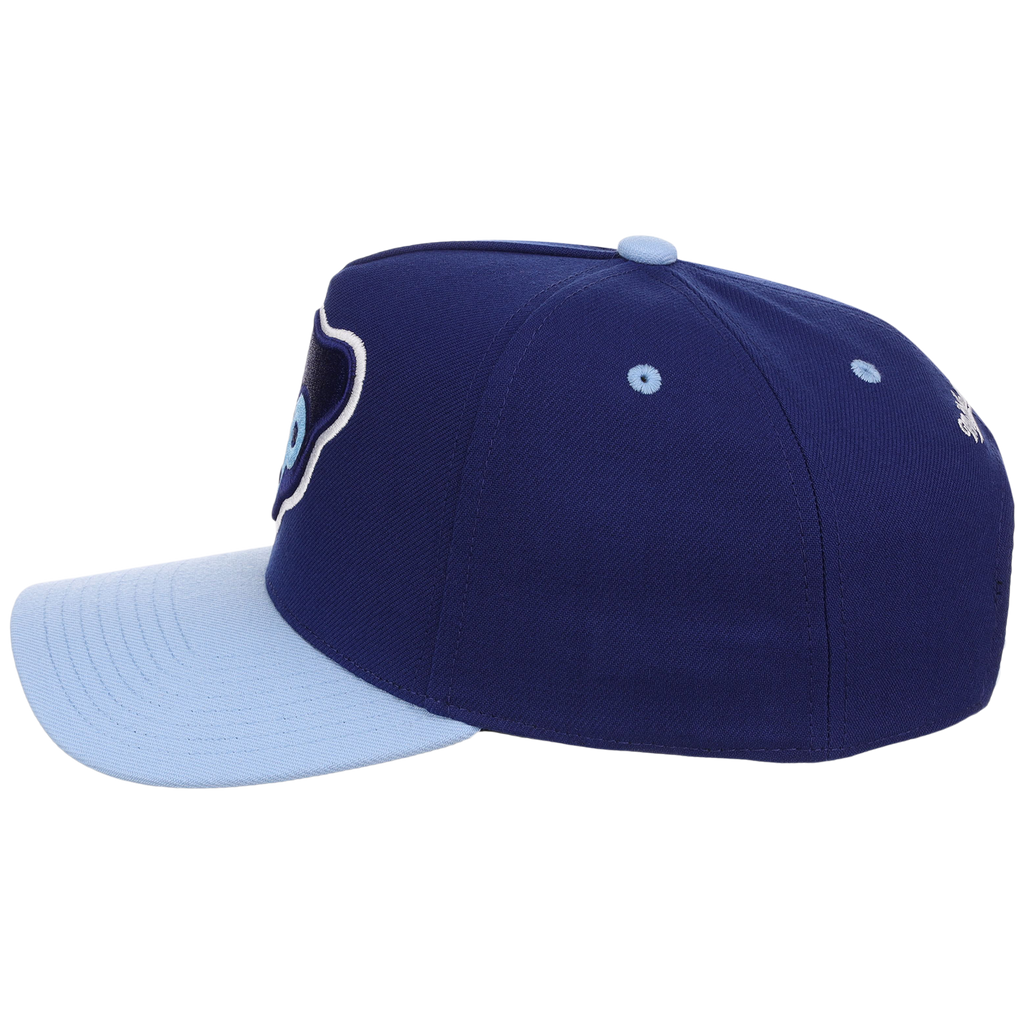 Chicago Cubs Mitchell & Ness MLB 'Era Flip' Heritage Series Pro Pinch - Royal/Sky
