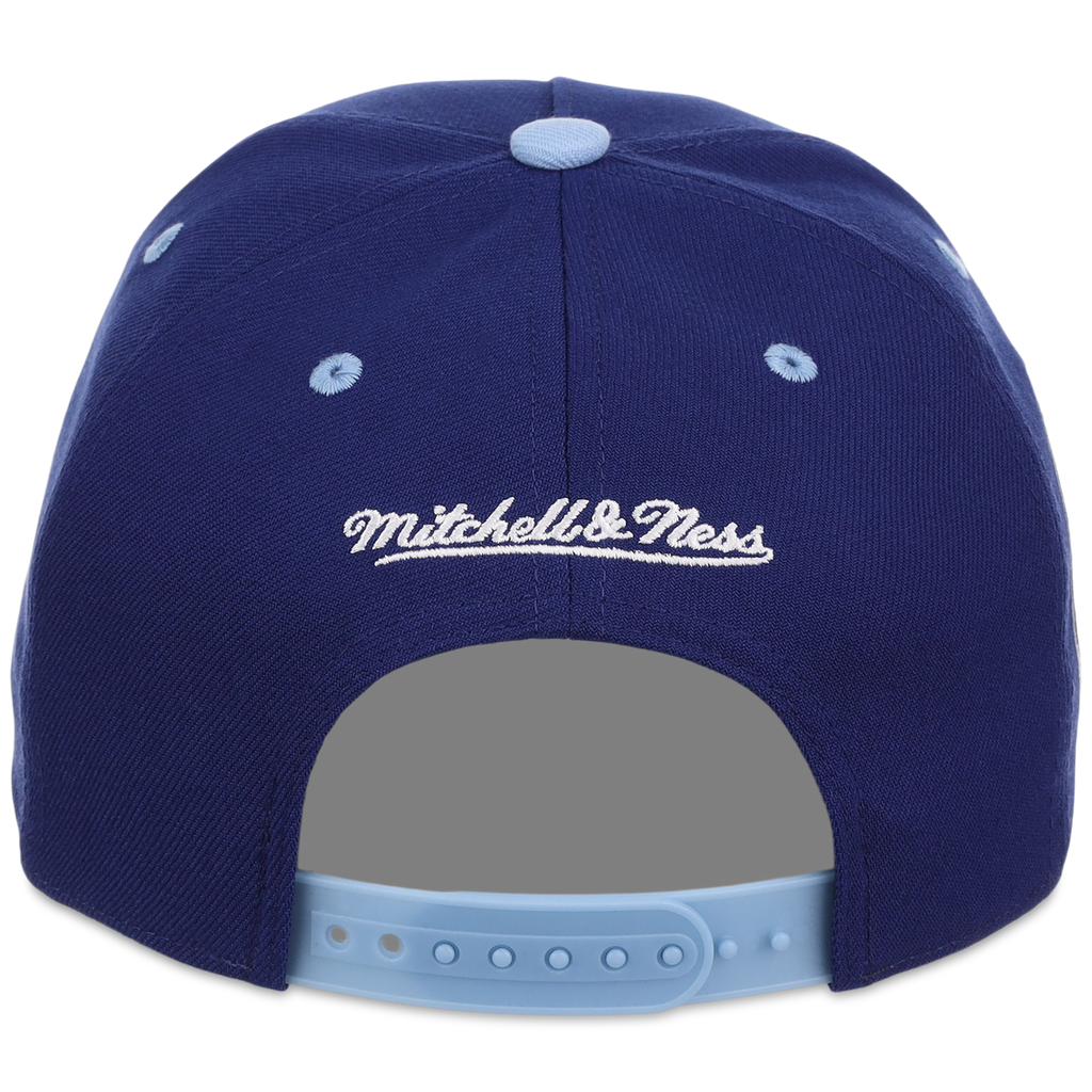 Chicago Cubs Mitchell & Ness MLB 'Era Flip' Heritage Series Pro Pinch - Royal/Sky