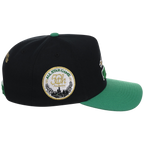 Chicago White Sox Mitchell & Ness MLB 'Era Flip' Heritage Series Pro Pinch - Black/Green