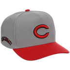 Cincinnati Reds Mitchell & Ness MLB 'Era Flip' Heritage Series Pro Pinch - Grey/Red