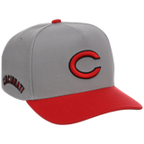 Cincinnati Reds Mitchell & Ness MLB 'Era Flip' Heritage Series Pro Pinch - Grey/Red