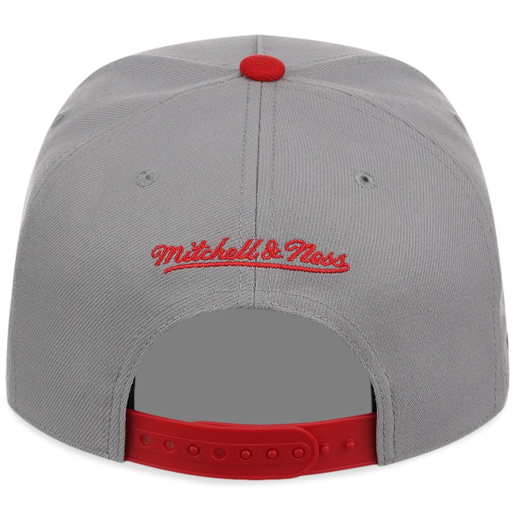 Cincinnati Reds Mitchell & Ness MLB 'Era Flip' Heritage Series Pro Pinch - Grey/Red