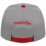 Cincinnati Reds Mitchell & Ness MLB 'Era Flip' Heritage Series Pro Pinch - Grey/Red