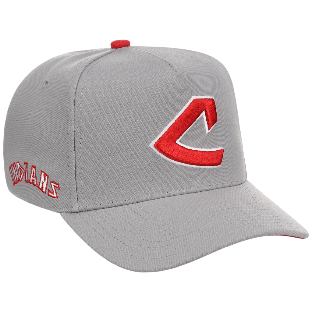 Cleveland Indians Mitchell & Ness MLB 'Era Flip' Heritage Series Pro Pinch - Grey/Gray