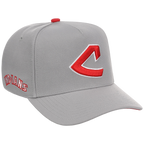 Cleveland Indians Mitchell & Ness MLB 'Era Flip' Heritage Series Pro Pinch - Grey/Gray