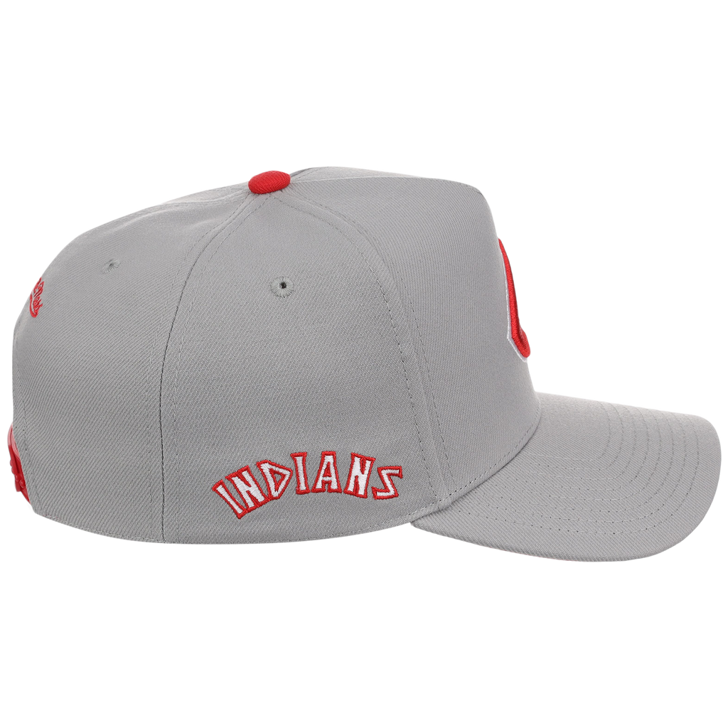 Cleveland Indians Mitchell & Ness MLB 'Era Flip' Heritage Series Pro Pinch - Grey/Gray