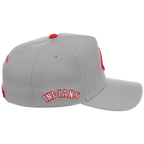Cleveland Indians Mitchell & Ness MLB 'Era Flip' Heritage Series Pro Pinch - Grey/Gray