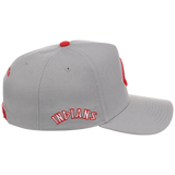 Cleveland Indians Mitchell & Ness MLB 'Era Flip' Heritage Series Pro Pinch - Grey/Gray