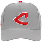 Cleveland Indians Mitchell & Ness MLB 'Era Flip' Heritage Series Pro Pinch - Grey/Gray