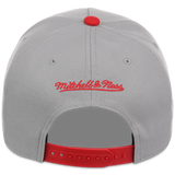 Cleveland Indians Mitchell & Ness MLB 'Era Flip' Heritage Series Pro Pinch - Grey/Gray