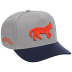 Detroit Tigers Mitchell & Ness MLB 'Era Flip' Heritage Series Pro Pinch - Grey/Navy